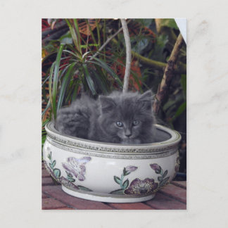 Sherlock Potted Postkarte