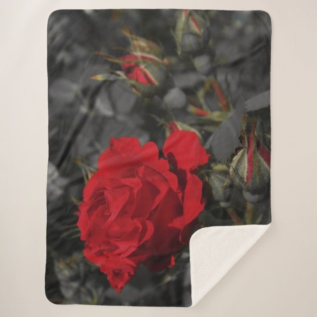 Sherpa Blanken, Handwerk, Urlaub, elegant, Farbe, Sherpadecke (Vorderseite)