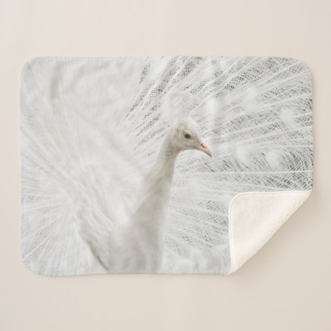Sherpa Blanket Sherpadecke (Vorderseite (Horizontal))