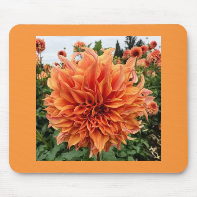 Sherwoods Peach Dahlia Mousepad (Vorne)