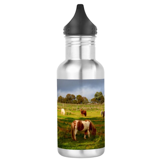 Shetland Ponies and Kastnut, 532 ml Wasserflasche (Links)