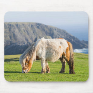 Shetland Pony auf der Alp Piazza della Riforma Mousepad