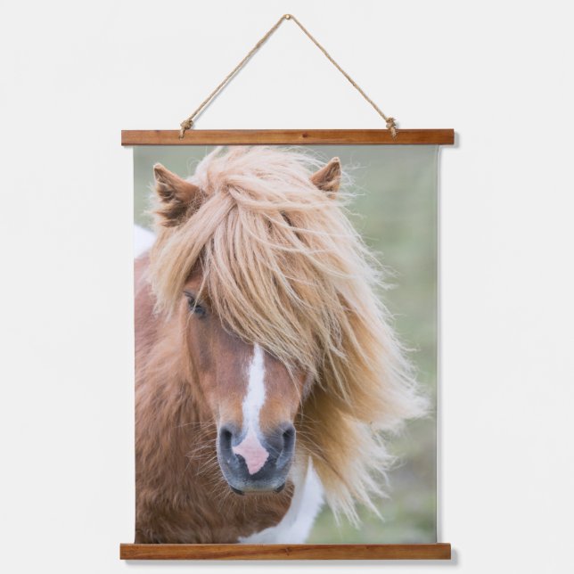 Shetland Pony auf der Insel Unst Wandteppich Mit Holzrahmen (Vorderseite)