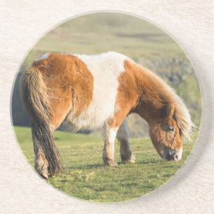 Shetland Pony auf Weideland in der Nähe von hohen  Sandstein Untersetzer