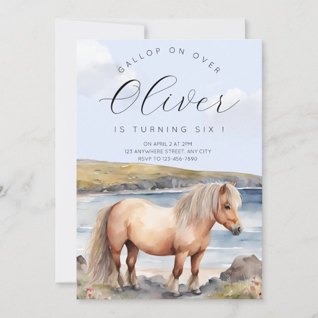 Shetland Pony Birthday Invitation Einladung (Vorderseite)