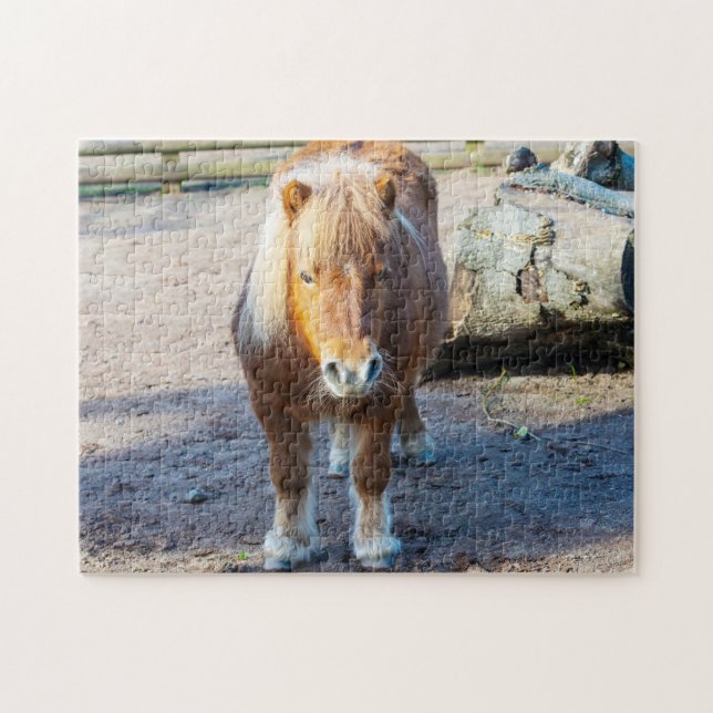 Shetland Pony Jigsaw puzzle (Horizontal)