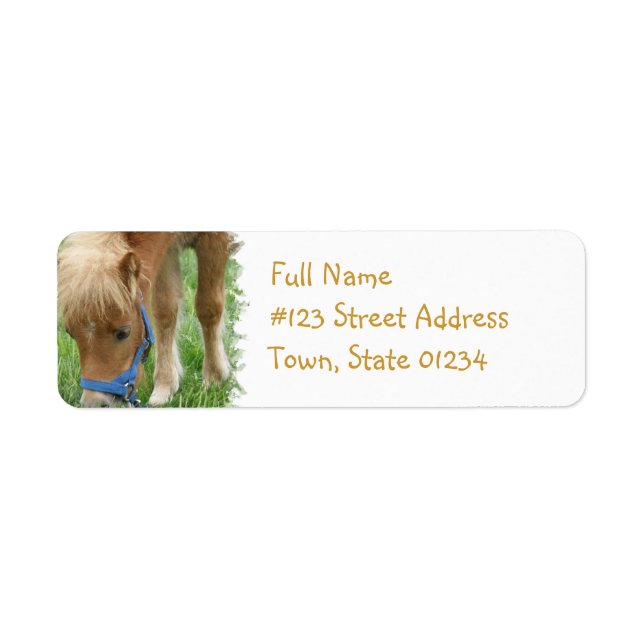Shetland Pony Mailing Label (Vorne)