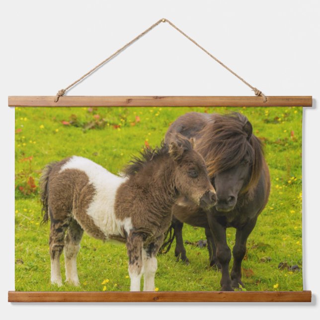 Shetland Pony Mother and Offspring Wandteppich Mit Holzrahmen (Vorne)