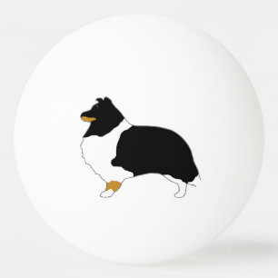 Shetland-Schafhund Schwarz-weiß und tan-Silo Tischtennisball