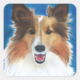 Shetland Sheep Dog Quadratischer Aufkleber