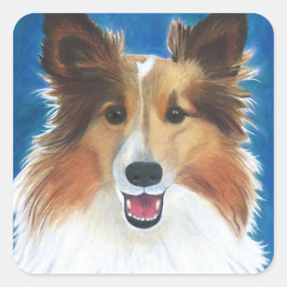 Shetland Sheep Dog Quadratischer Aufkleber