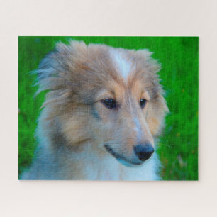 Shetland Sheep Hund Jigsaw. Puzzle