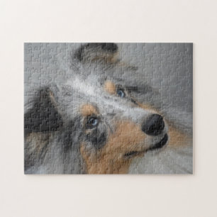 Shetland Sheep Hund Jigsaw. Puzzle