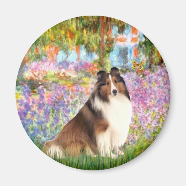 Shetland Sheepdog 7 - Garten Magnet (Vorne)