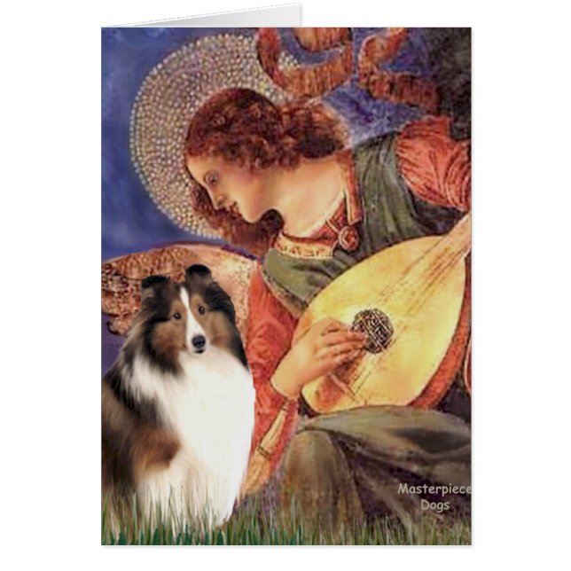 Shetland Sheepdog 7 - Mandolin Angel (Vorne)