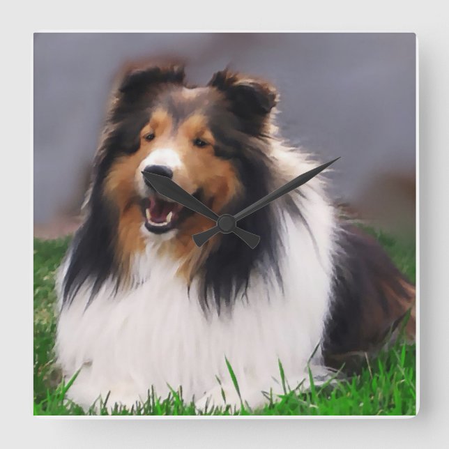 Shetland Sheepdog Art Quadratische Wanduhr (Vorderseite)