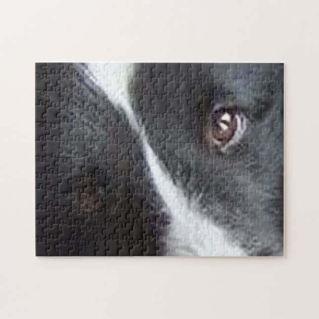 Shetland Sheepdog Augen Puzzle (Horizontal)