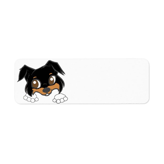 Shetland Sheepdog Black Tri Peeking Cartoon (Vorne)