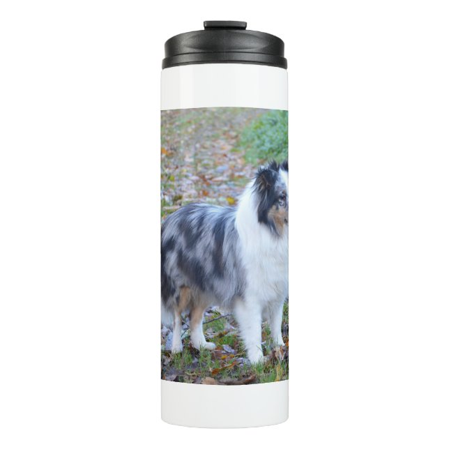 Shetland Sheepdog Blue Merle Thermosbecher (Vorderseite)