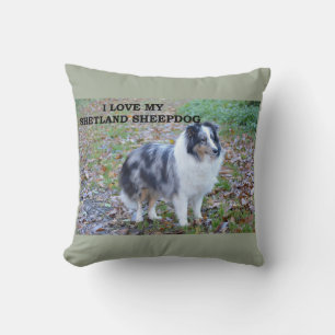 shetland-sheepdog-blue merle white tan Liebe w pic Kissen