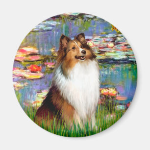 Shetland Sheepdog (Bz) - Lilies 2 Magnet