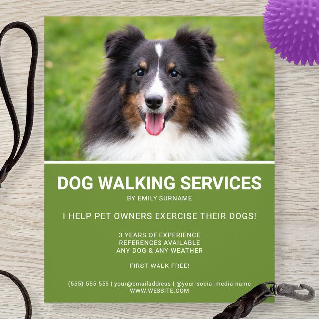 Shetland Sheepdog Foto Green Dog Walker Template Flyer (Von Creator hochgeladen)
