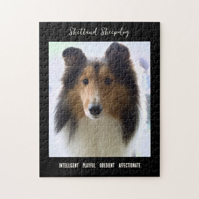 Shetland Sheepdog Foto Hunde Rasse Puzzle (Vertikal)