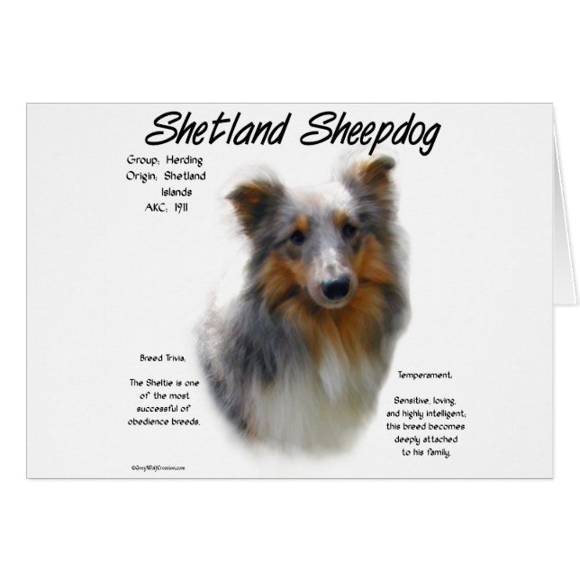 Shetland Sheepdog Geschichtsdesign (Vorderseite (Horizontal))