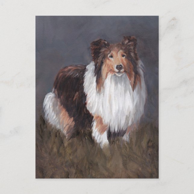 Shetland Sheepdog Hund Art Post Card Postkarte (Vorderseite)