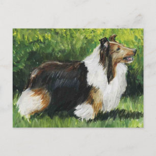 Shetland Sheepdog Hund Postkarte