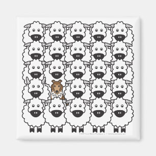 Shetland Sheepdog im Schafmagnet Magnet