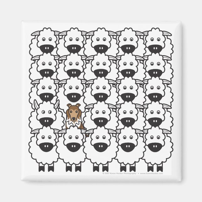 Shetland Sheepdog im Schafmagnet Magnet (Vorne)