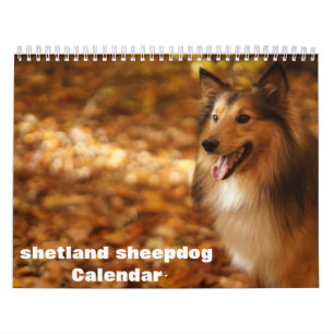 Shetland Sheepdog-Kalender 2025 Kalender