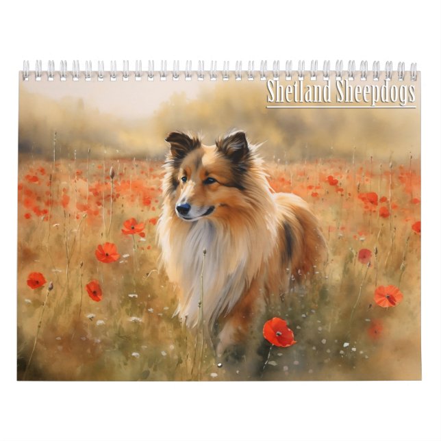 Shetland Sheepdog Kalender, jedes Jahr Kalender (Titelbild)