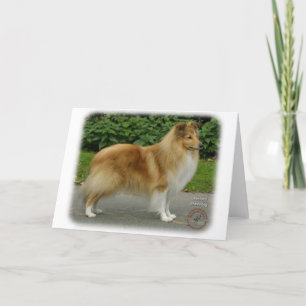 Shetland Sheepdog Karte