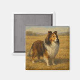 Shetland Sheepdog Magnet