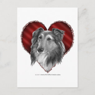 Shetland Sheepdog mit Herz Postkarte