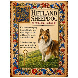 Shetland Sheepdog, mittelalterliche Bestiarien-Kun Postkarte