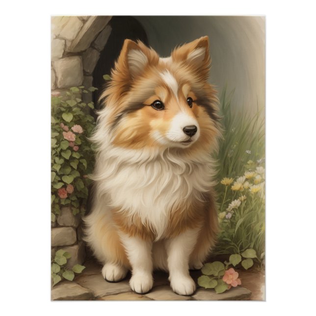 Shetland Sheepdog Poster (Vorderseite)