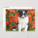 Shetland Sheepdog Postkarte (Vorne/Hinten)