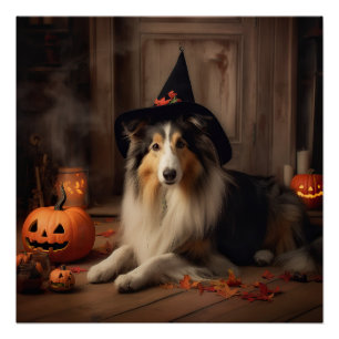 Shetland Sheepdog Pumpkins Halloween Beängstigend Poster