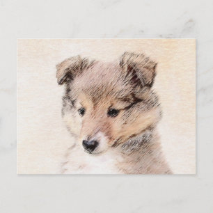 Shetland Sheepdog Puppy Malerei Original Dog Art Postkarte