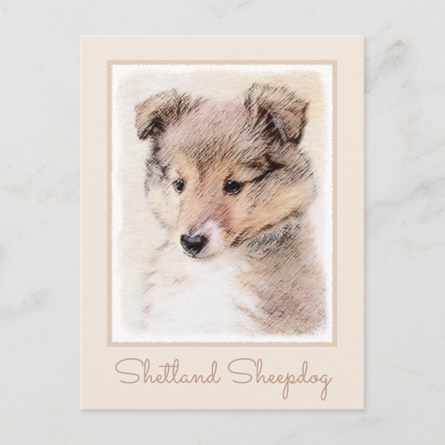 Shetland Sheepdog Puppy Malerei Original Dog Art Postkarte (Vorderseite)