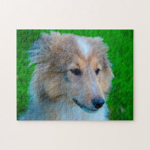 Shetland Sheepdog-Puzzle. Puzzle