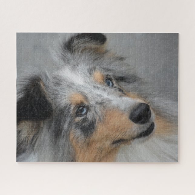 Shetland Sheepdog Puzzle. Puzzle (Horizontal)