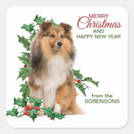 Shetland Sheepdog Red Berry Holly Christmas Quadratischer Aufkleber