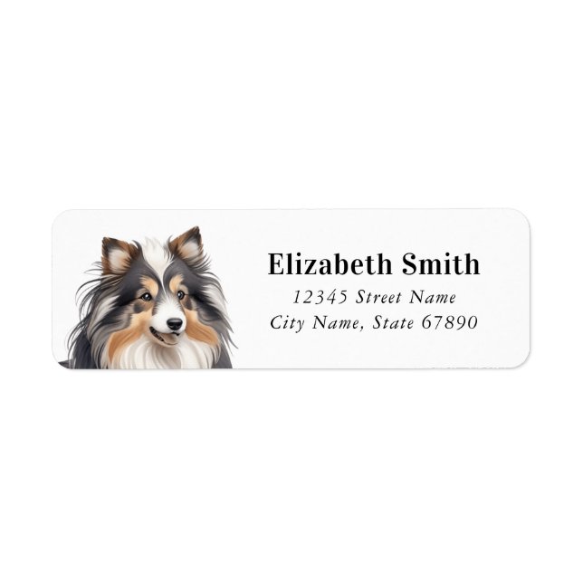 Shetland Sheepdog Rücksendeadressen-Aufkleber (Vorne)