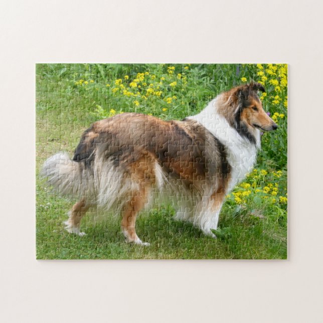 Shetland Sheepdog - Sheltie Dog Puzzle (Horizontal)