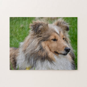 Shetland Sheepdog - Sheltie Dog Puzzle