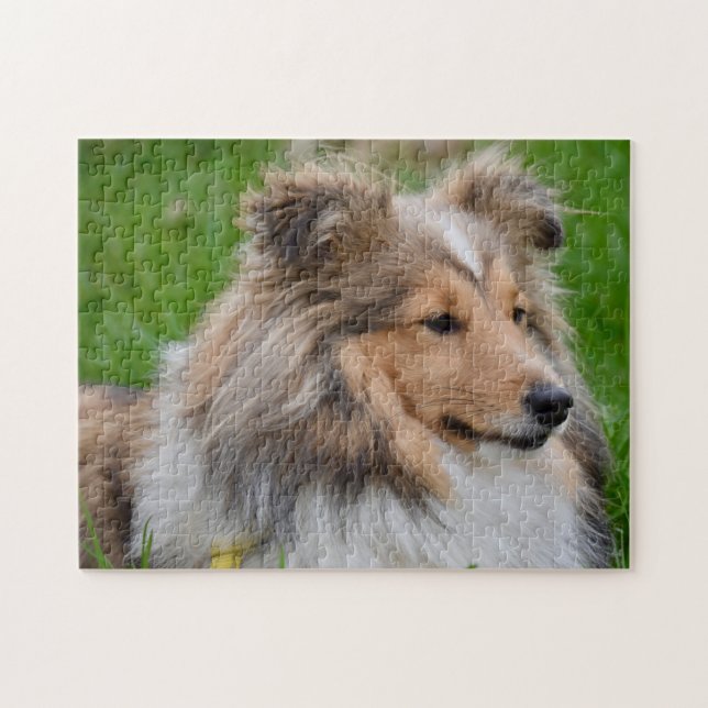 Shetland Sheepdog - Sheltie Dog Puzzle (Horizontal)